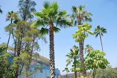 Dodger Stadium, Home of the Los Angeles Dodgers