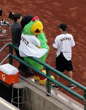 Pirates Mascot named Parrot